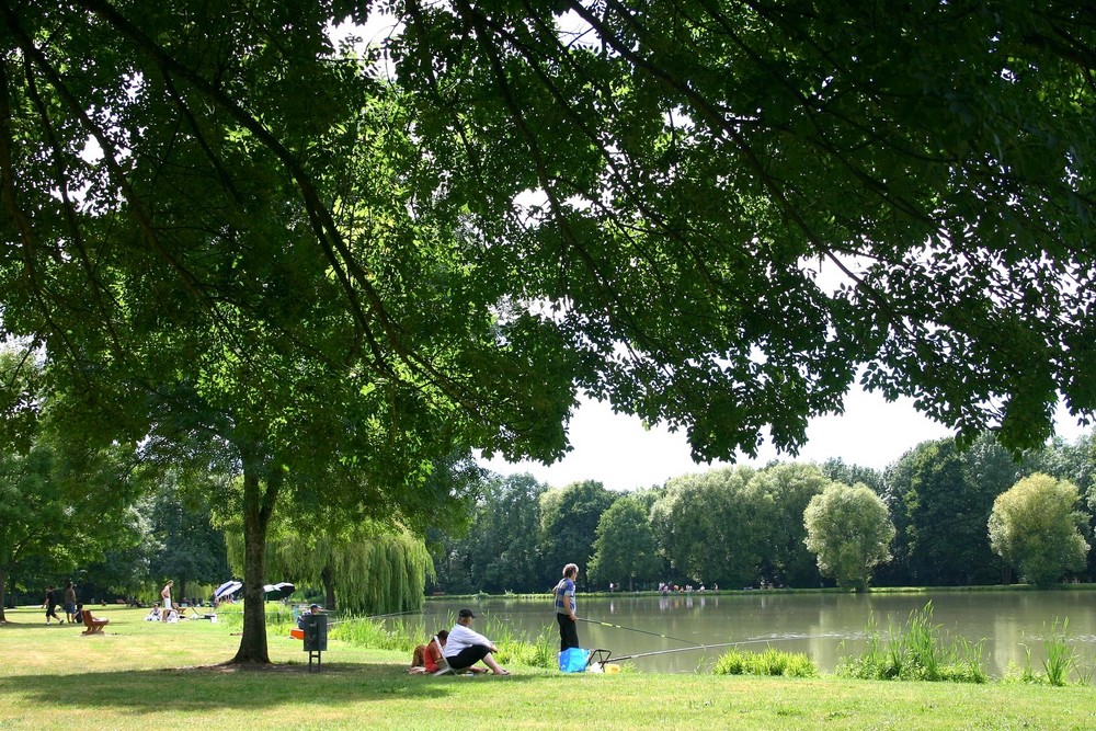 oasis de verdure et fraicheur