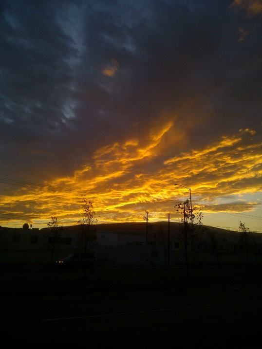 Oasis en el cielo