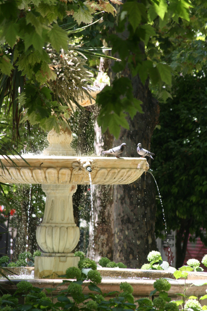 Oasis en la ciudad