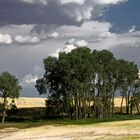 Oasis en Tierra de Campos