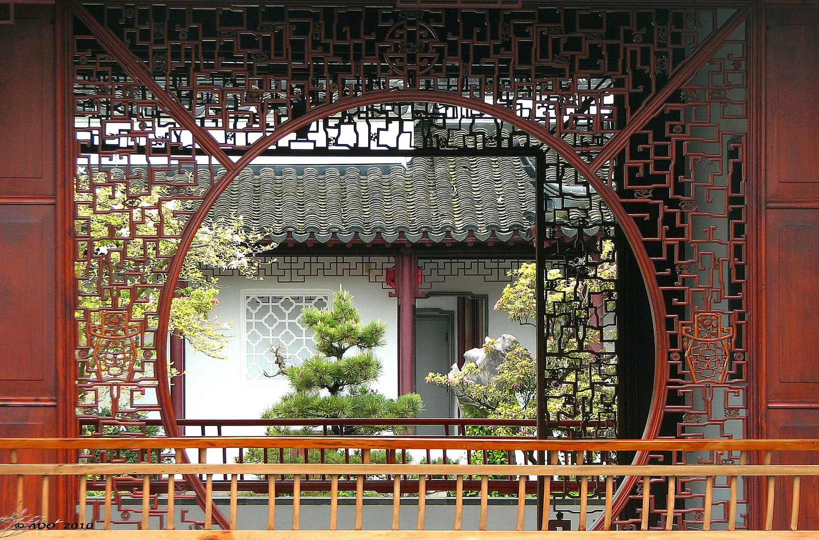 Oasis in a Chinese Garden