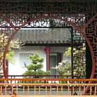 Oasis in a Chinese Garden