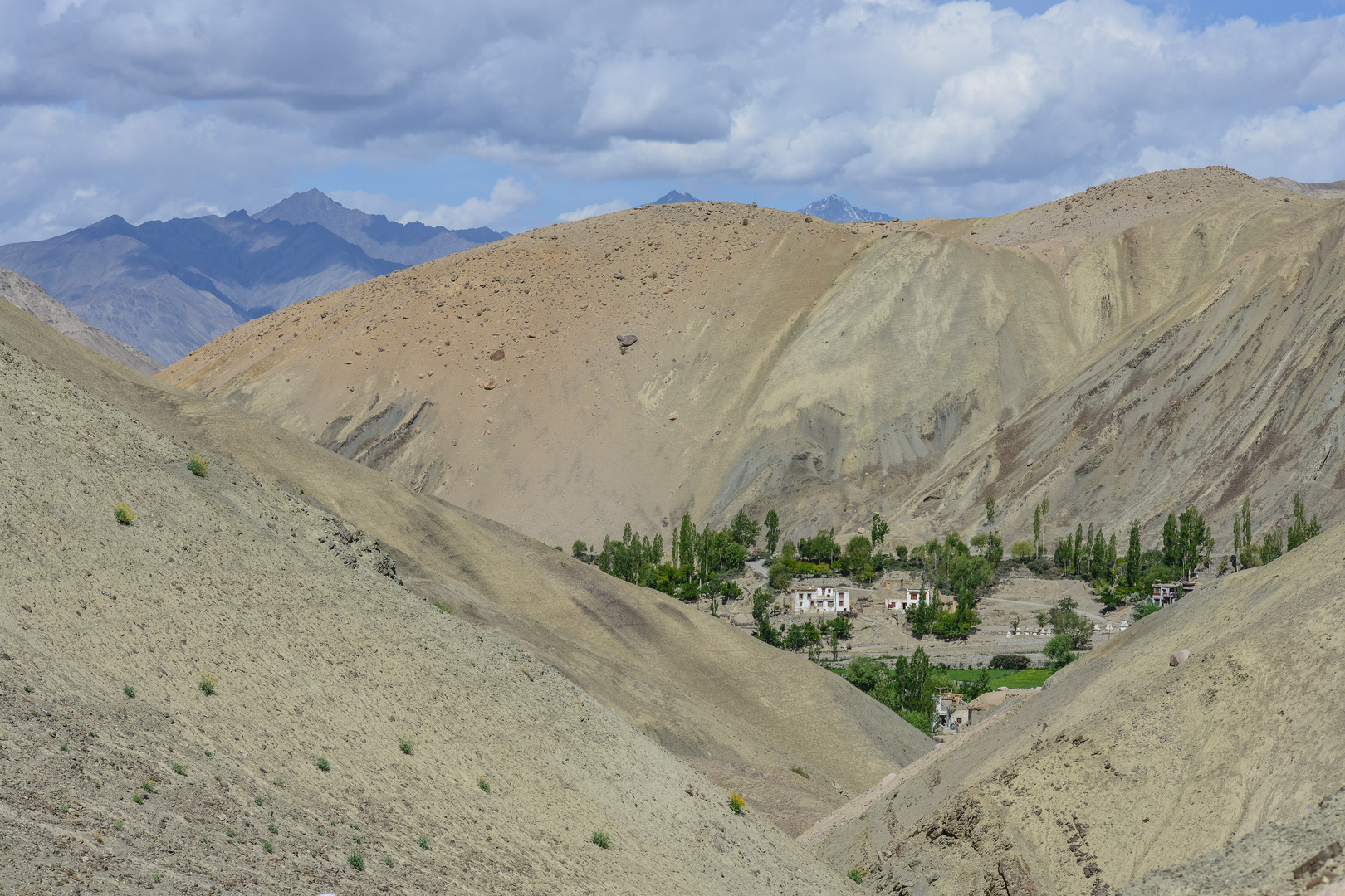 "Oasis in Ladakh"