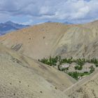 "Oasis in Ladakh"