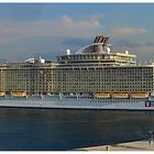 "Oasis of the Seas"