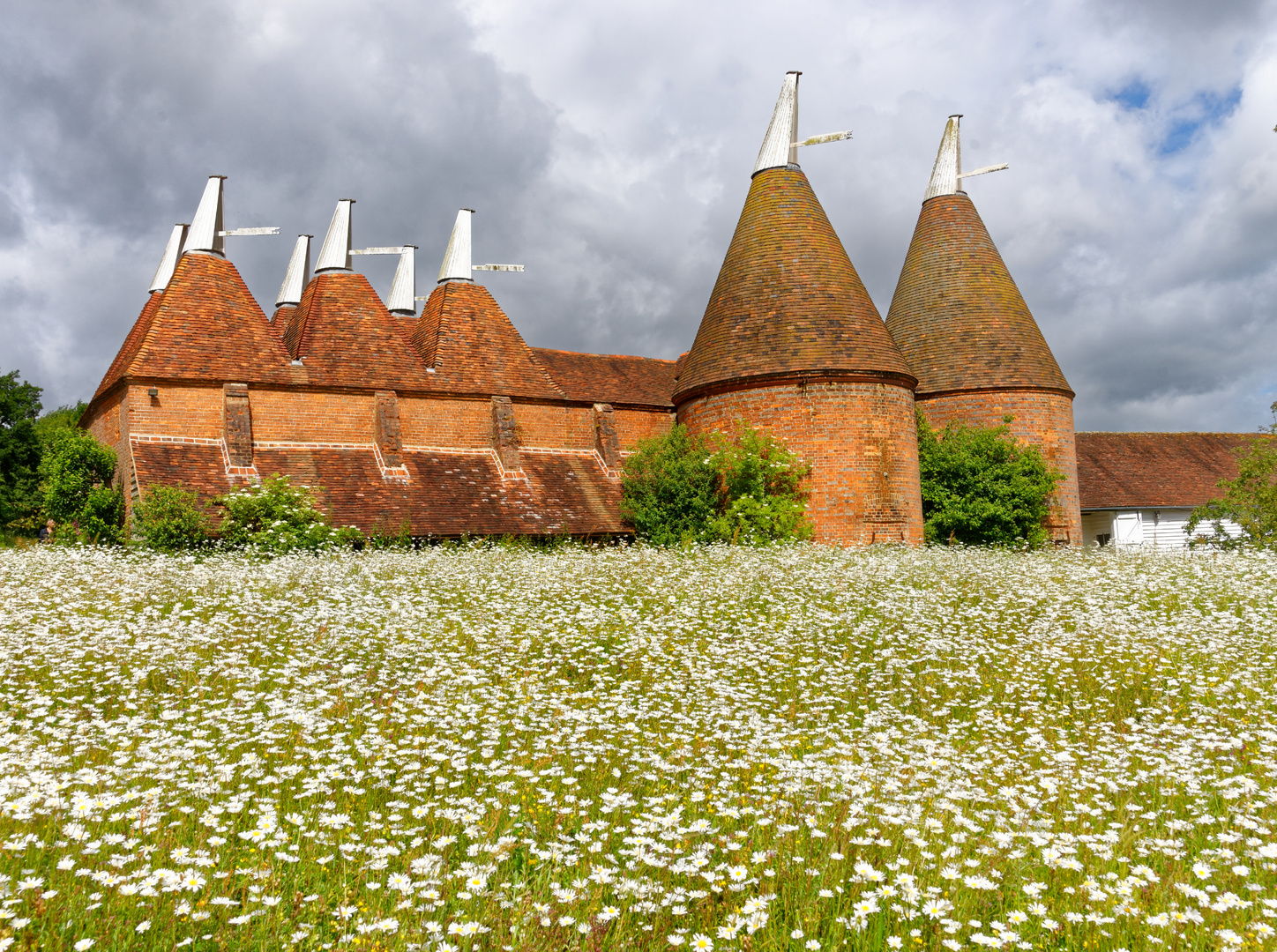 Oast houses