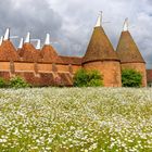 Oast houses