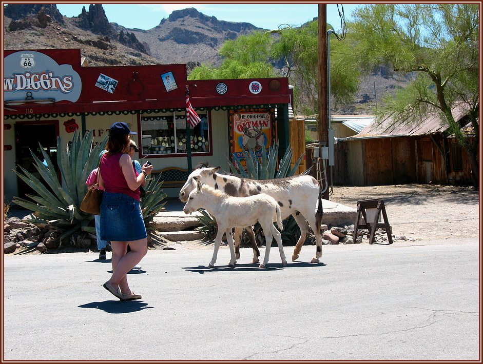 Oatman