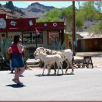 Oatman