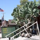 Oatman, AZ