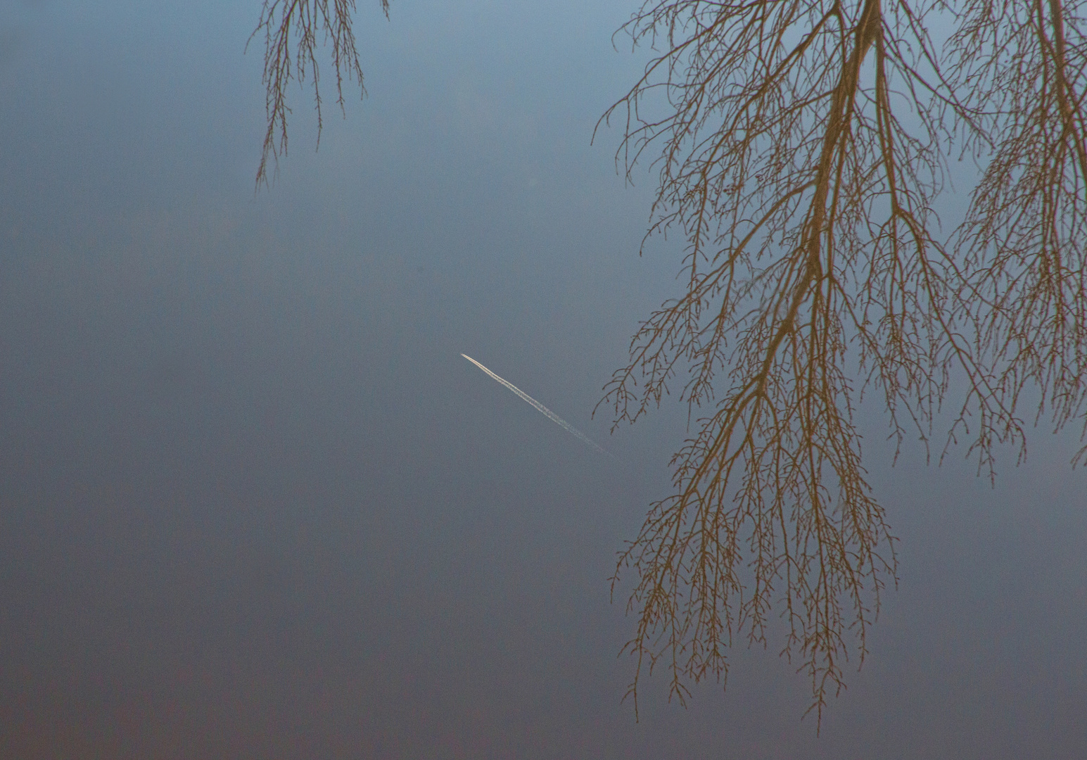 ob Airbus, oder vielleicht eine Boing?  den Typ des Fliegers, der gerade 