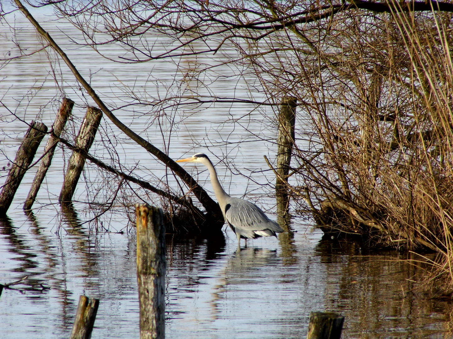 ob da wohl mein Abendbrot schwimmt ...?