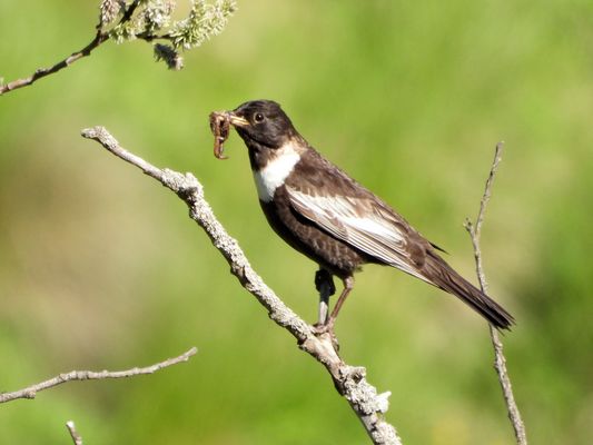 Ob das den Kleinen schmeckt?