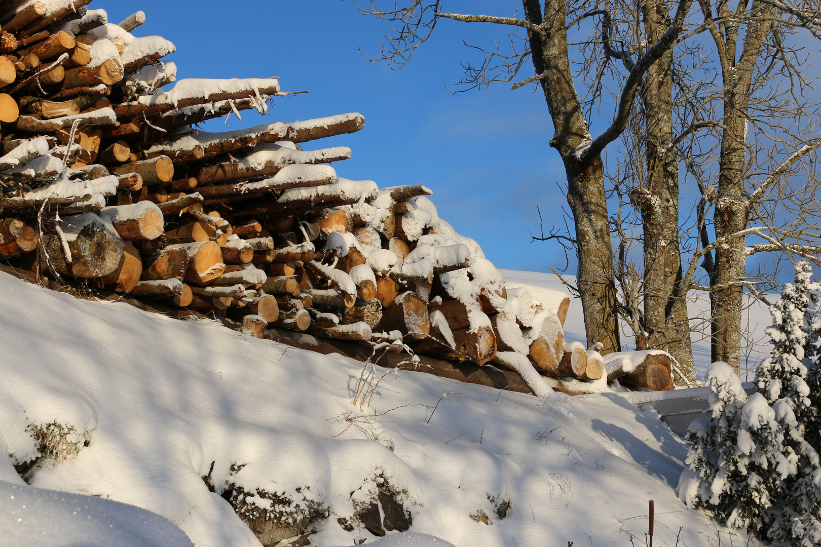 Ob das Feuerholz für diesen Winter noch reicht?