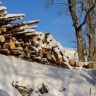 Ob das Feuerholz für diesen Winter noch reicht?
