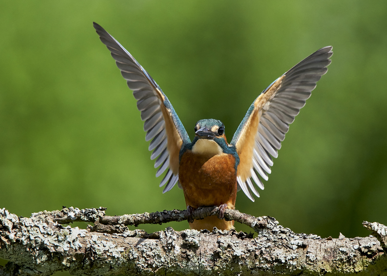 Ob das mit dem Fliegen schon klappt