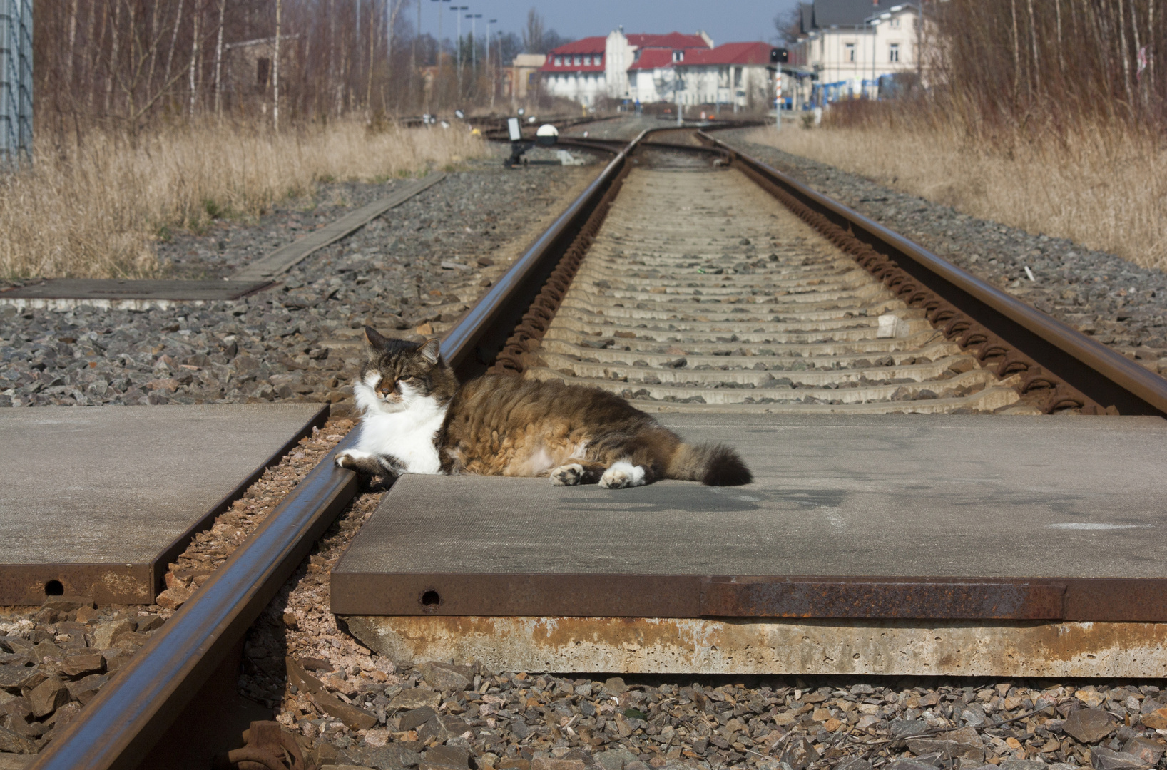 Ob die Bahn heute pünktlich kommt?