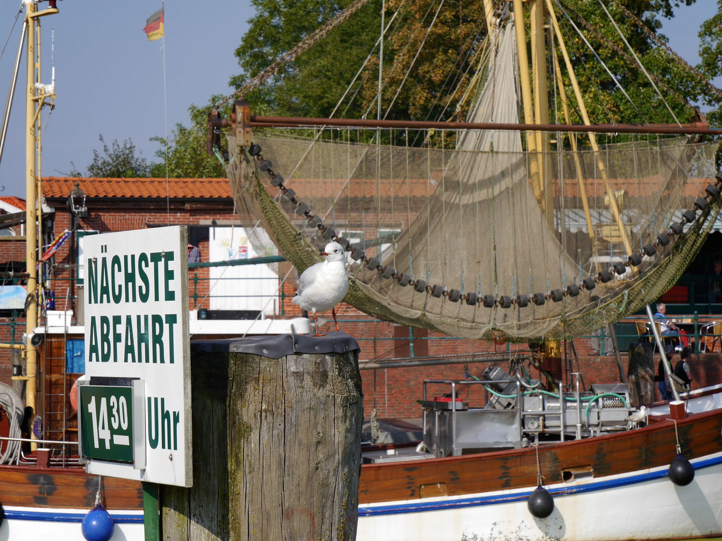 Ob die Möwe auch mit möchte?