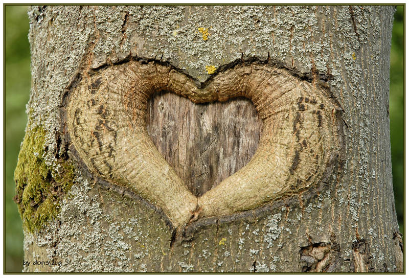 Ob diese alte Liebe noch hält?