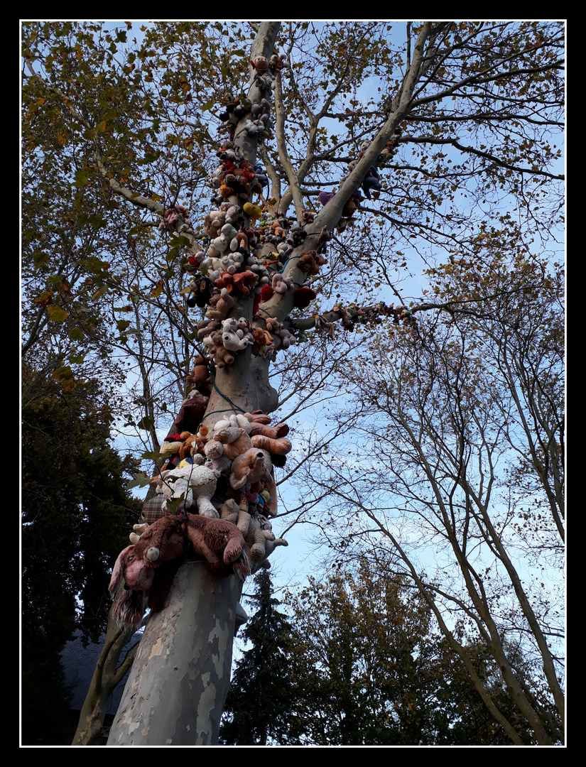 Ob dieser Baum den Opfern hilft zu vergessen?