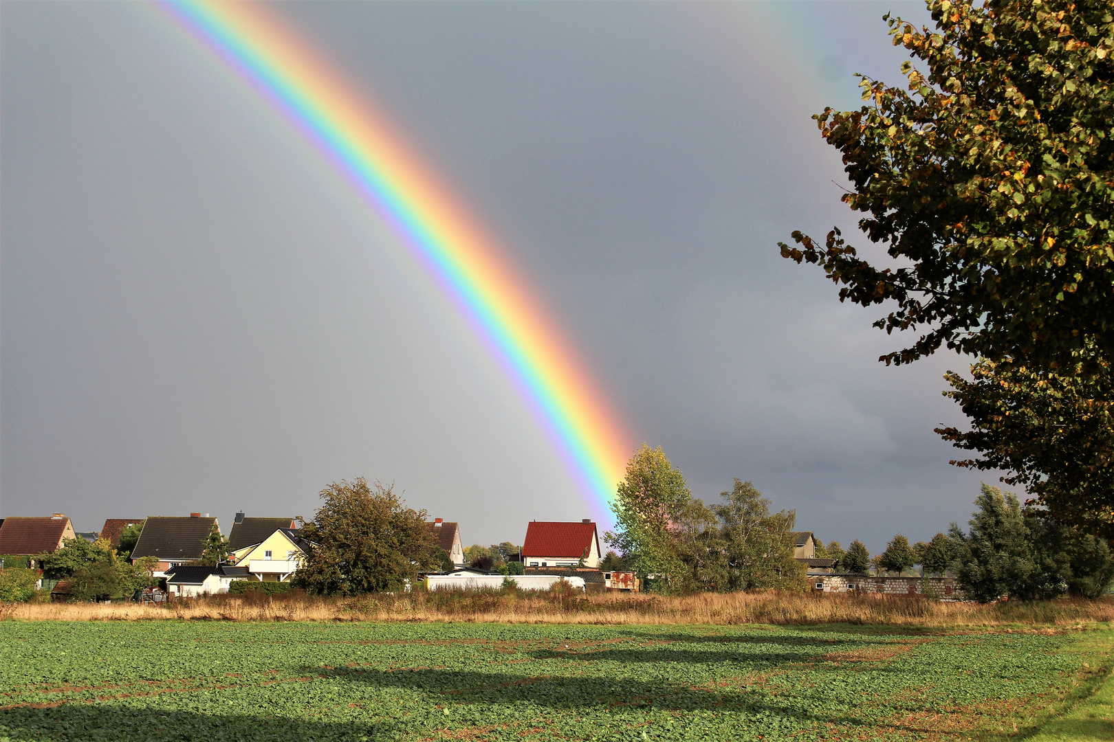 Ob dort wirklich ein Goldtopf im Garten ist ?