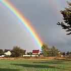 Ob dort wirklich ein Goldtopf im Garten ist ?