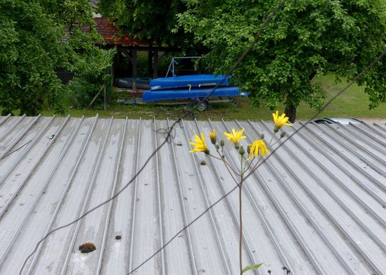 Ob ein Kajak mit Blomen schwimmt?