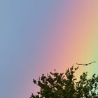 Ob er den Regenbogen für ein Aufwindband hält?