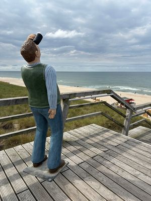 ob er wohl Möwen beobachtet?