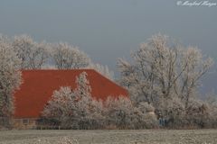 Ob es bei uns im Norden noch Winter wird?