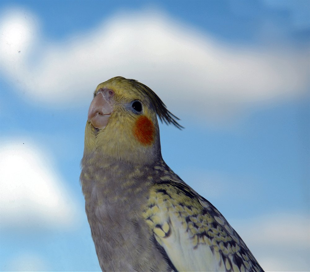 Ob ich auch mal in den Himmel komme?