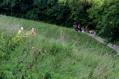 Ob man das Gras eintüten und rauchen kann?