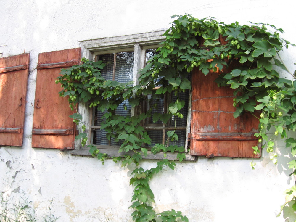 ob man hier fensterln kann ???