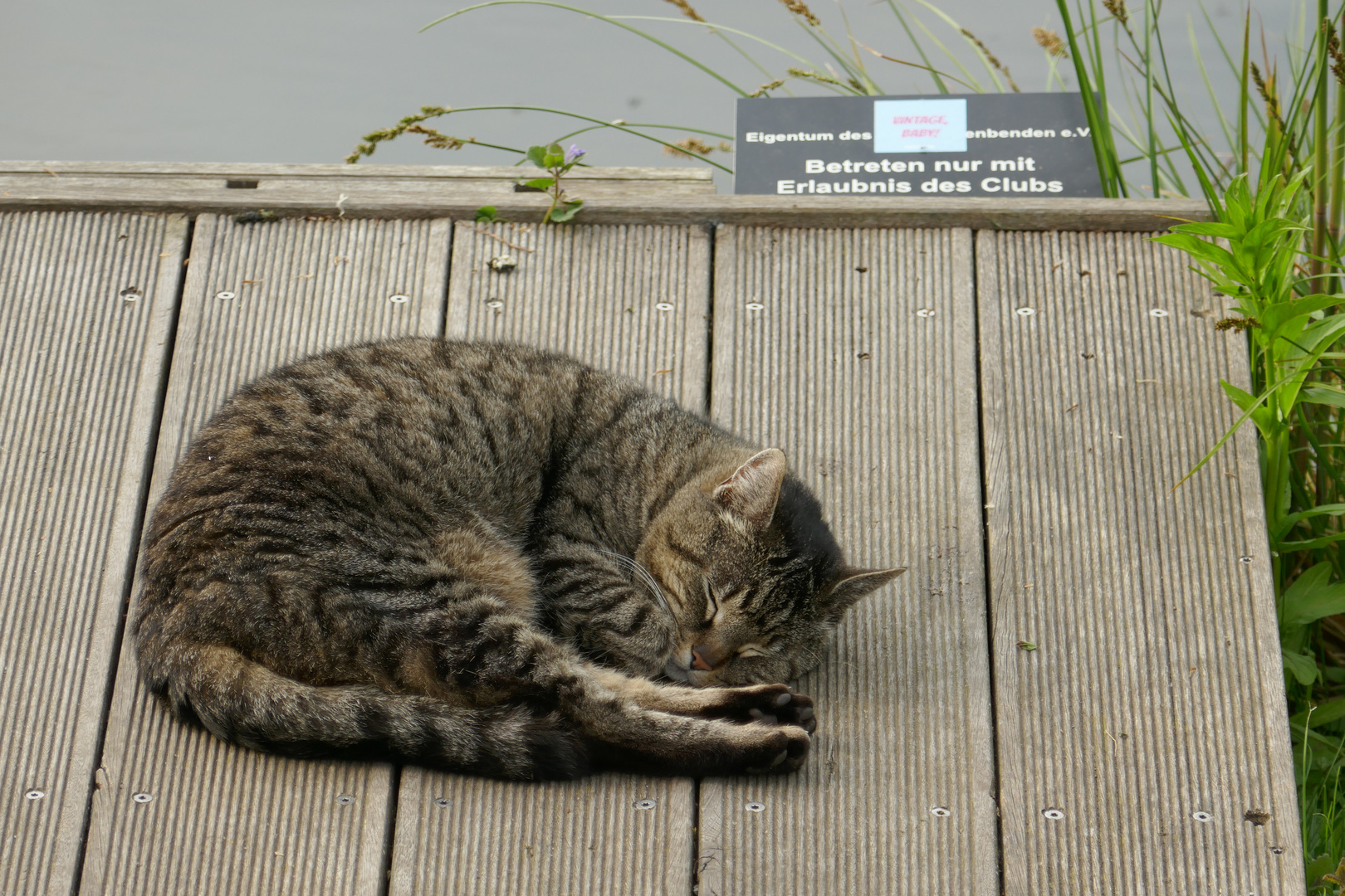 Ob "nicht lesen können" als Entschuldigung gilt??? ;-)