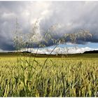 Ob wir da mit Regen hoffen dürfen ,