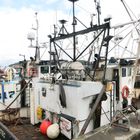 Oban Hafen