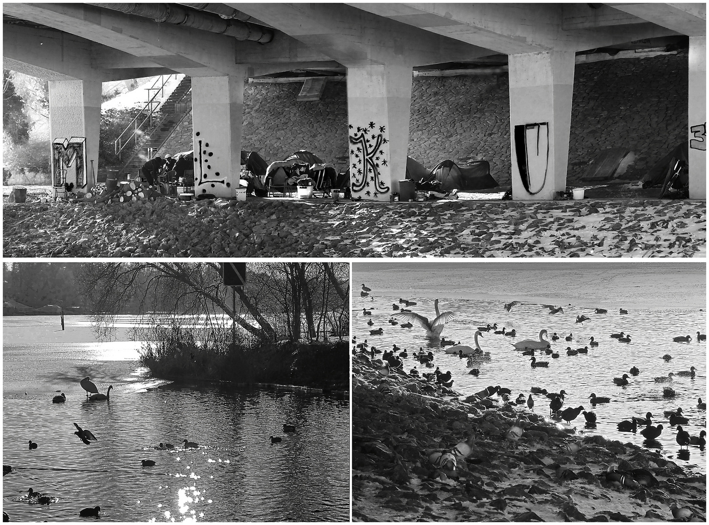 Obdachlose unter der Wannseebrücke.