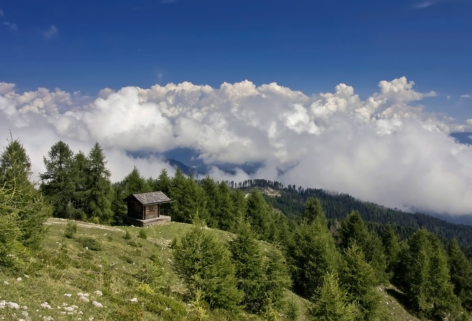 Oben am Dobratsch