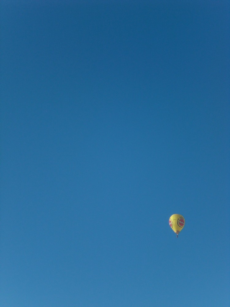 Oben am Himmel da lässt es sich leben...