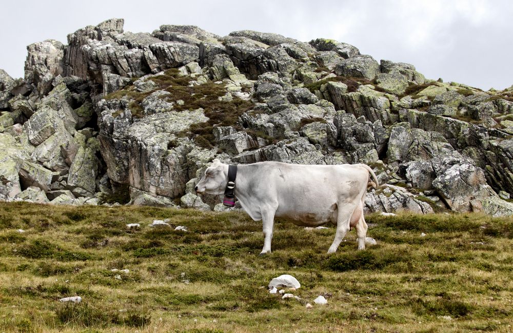 Oben auf dem Berg