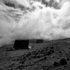 oben auf dem Berg... (Rigi)