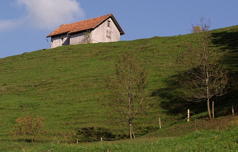 oben auf dem Hügel