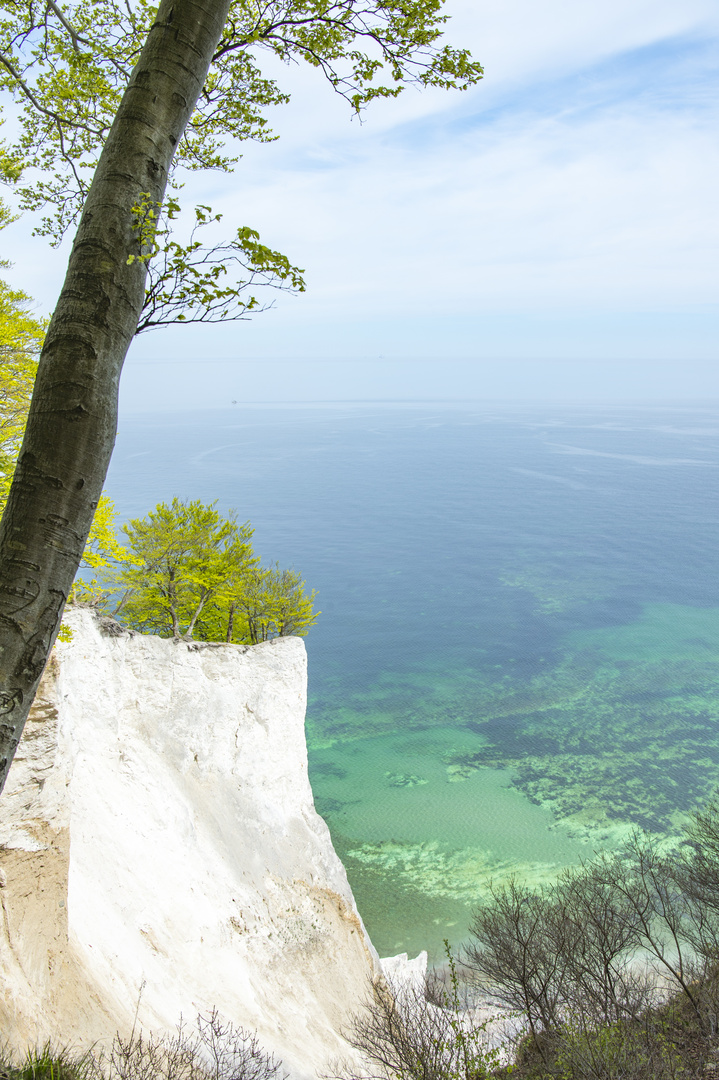 Weissen Rand Um Bilder App