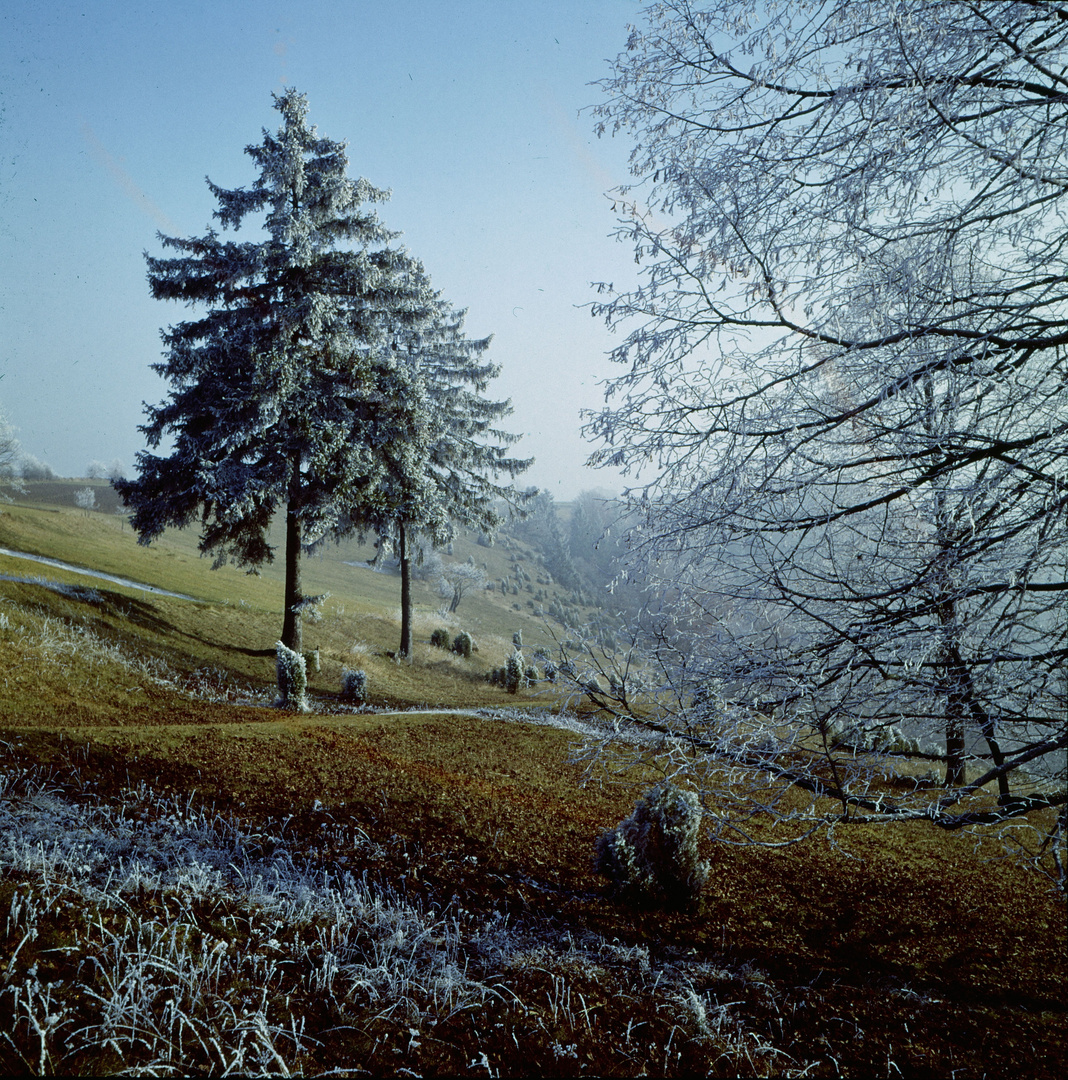 Oben auf der rauhen Alb - da wehte früher der Wind so kalt (1962)