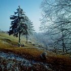 Oben auf der rauhen Alb - da wehte früher der Wind so kalt (1962)