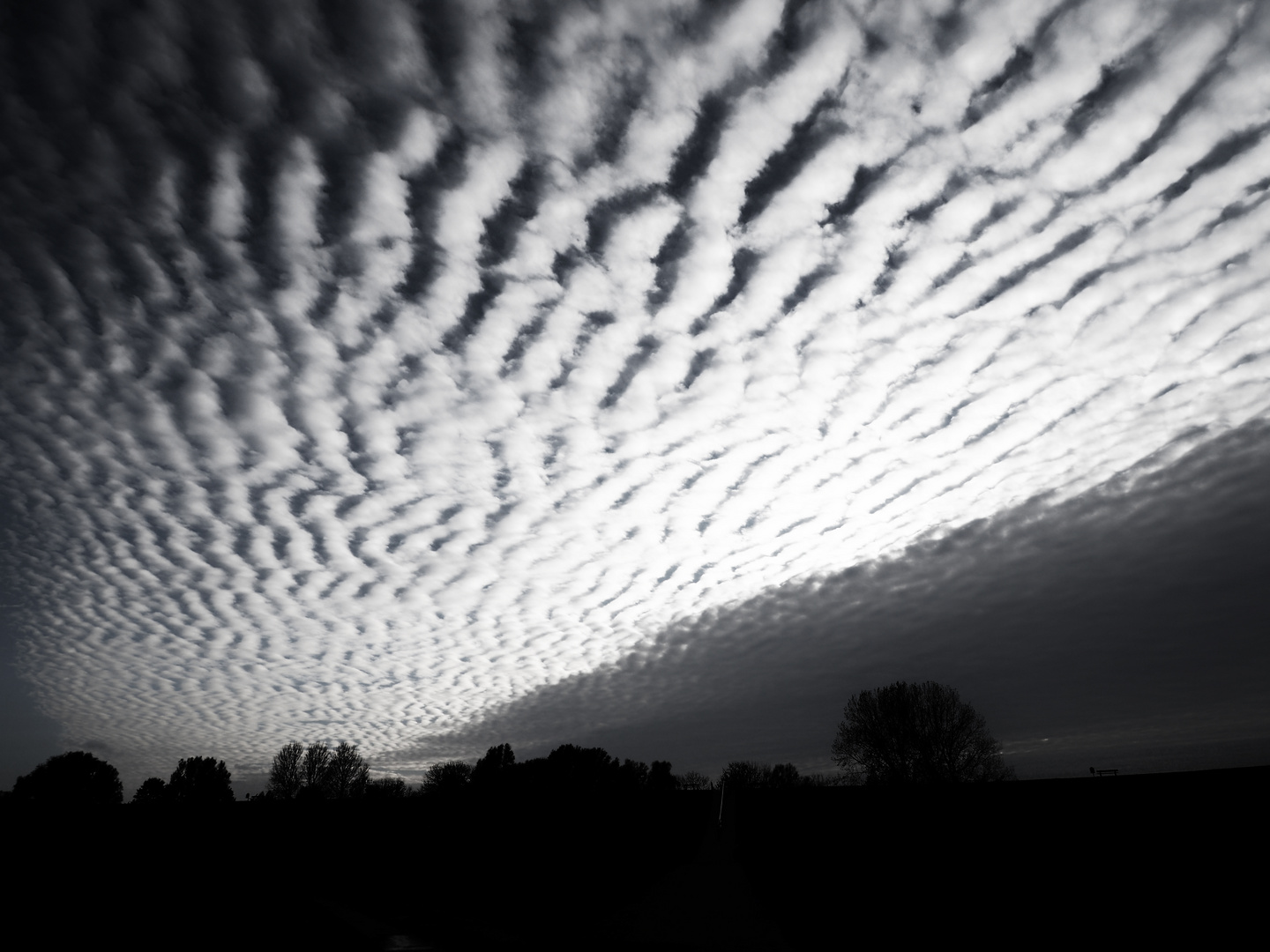 ... oben auf´m deich ... mit wolken                 