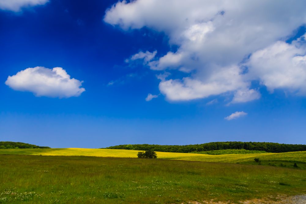 Oben Blau, unten grün