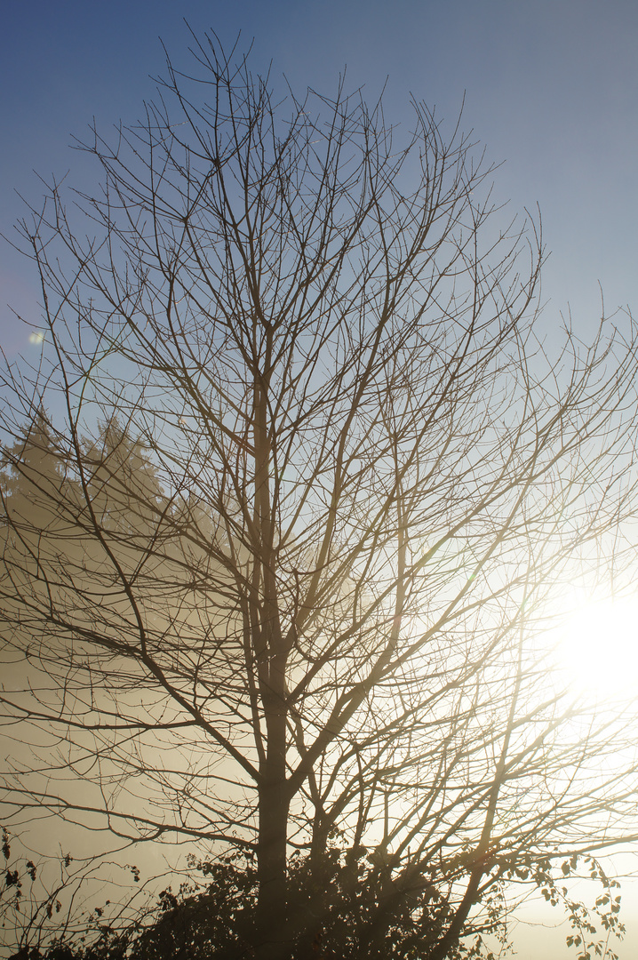 oben Blau unten Nebel