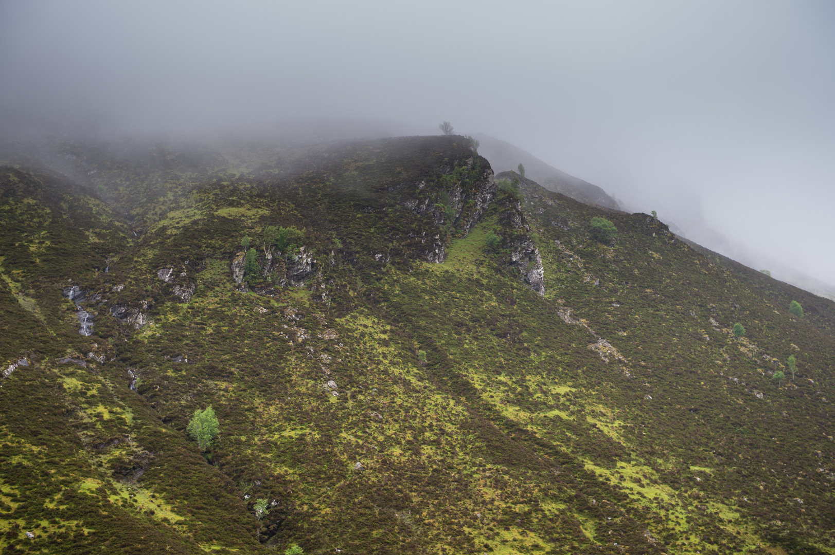 Oben im Nebel