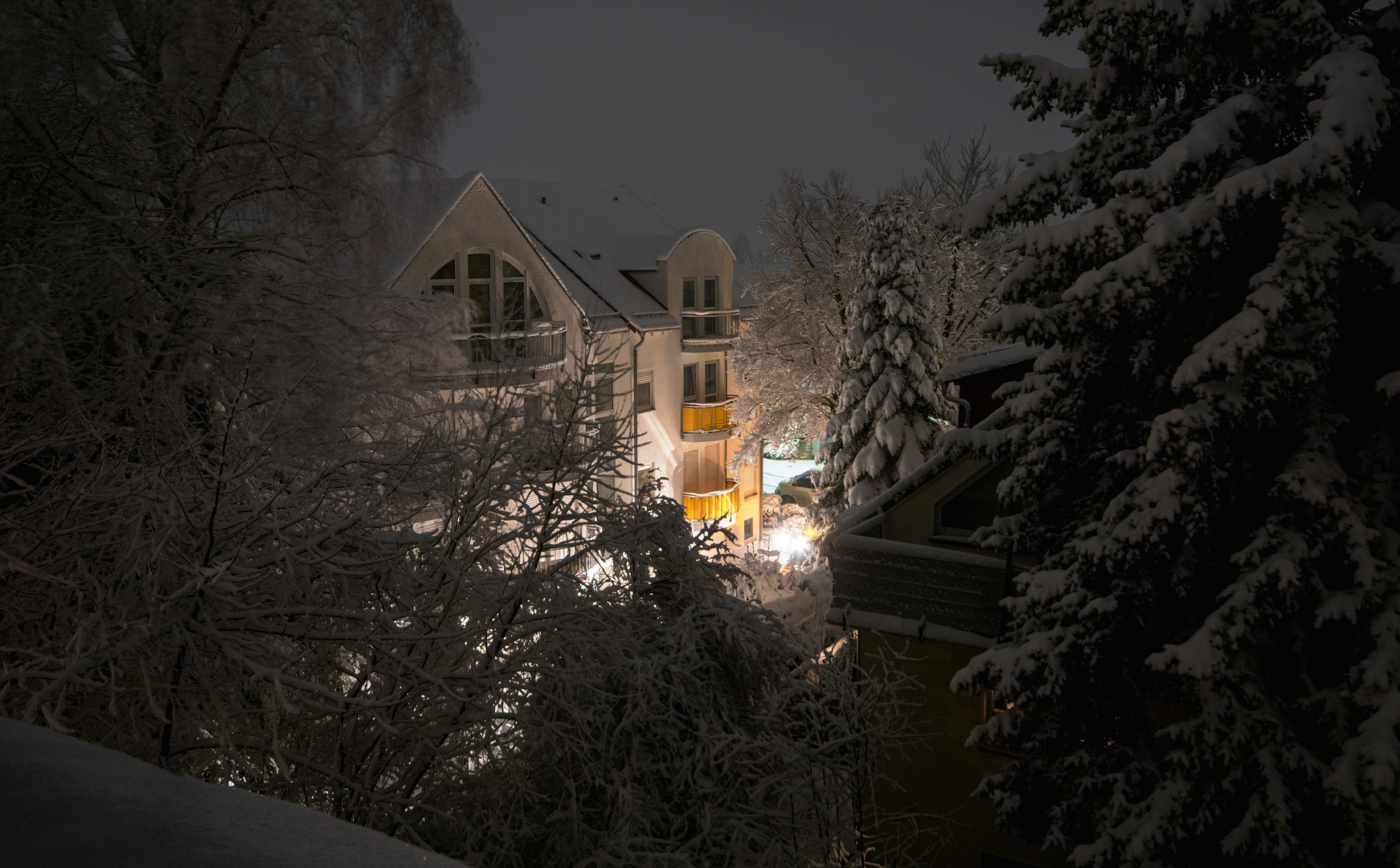 oben im Taunus am 27.02.2020